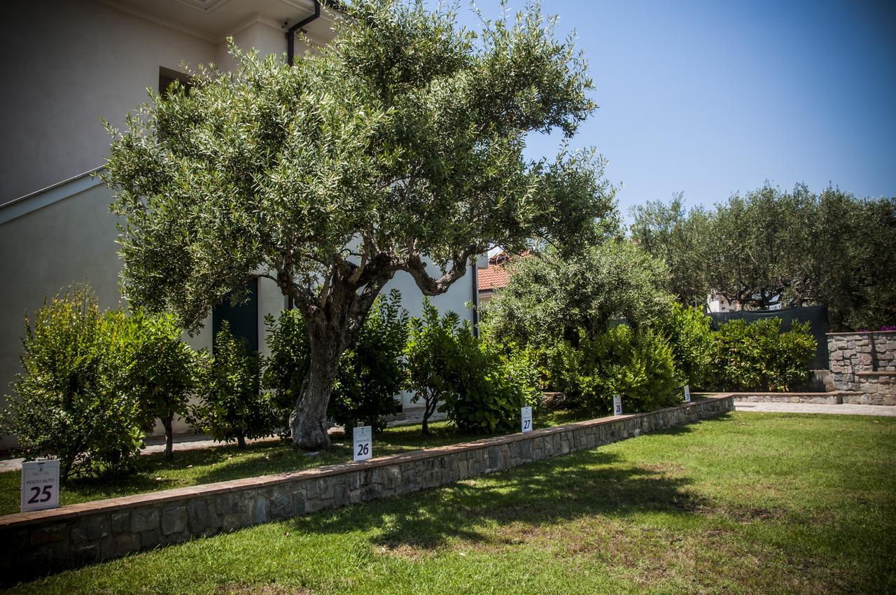Oliveto A Mare - Suite & Apartment Ascea Eksteriør billede
