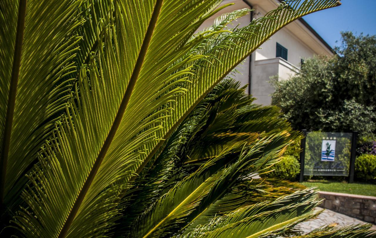 Oliveto A Mare - Suite & Apartment Ascea Eksteriør billede